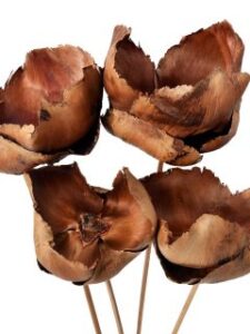 Ex33 Palm Cap 12